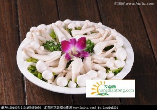 白玉菇吃的时候要注意,第2图