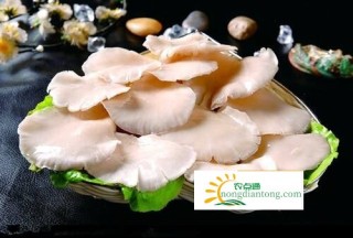 鸡腿和平菇的做法大全，怎么选购平菇和鸡腿,第1图