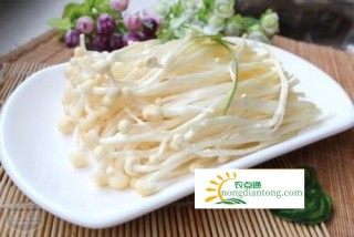 金针菇食用禁忌,第1图