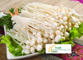 金针菇与海鲜菇有哪些区别？,第4图