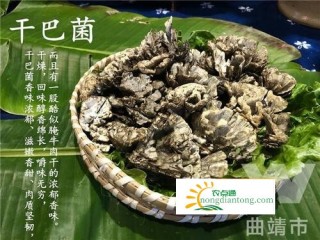 吃干巴菌好处多多，还能抗衰老,第1图