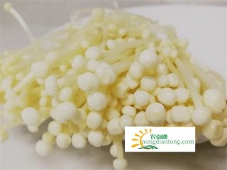 水煮金针菇可以减肥吗,第2图