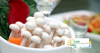 蟹味菇白玉菇有区别吗？怎么区分白玉菇和蟹味菇？,第4图