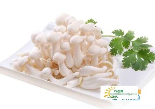 白玉菇可以包饺子吗？,第1图