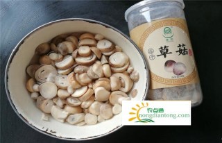 草菇致富,第3图