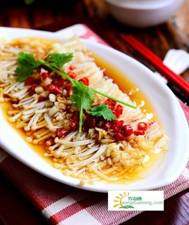 金针菇属于食用菌吗,第1图