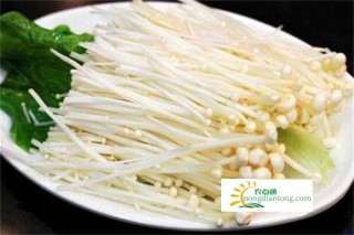 金针菇可以和豆腐一起吃吗,第1图