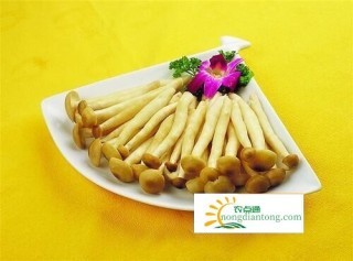 以菜为媒 “炒热”海鲜菇品牌,第3图