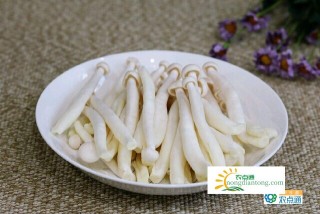 宝宝能吃海鲜菇吗？宝宝吃海鲜菇要注意什么？,第1图