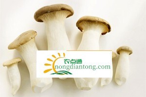 发黄的杏鲍菇还能吃吗？,第2图