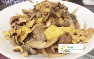 肉丝炒平菇的做法大全，平菇家常做法,第3图