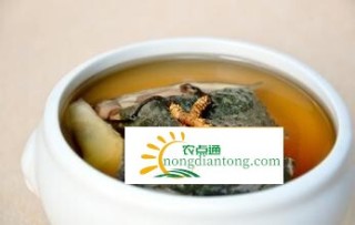 冬虫夏草的食用方法和图片,第4图