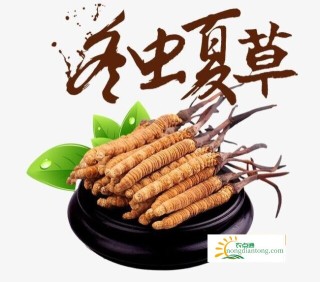 目前冬虫夏草的价格行情,第2图