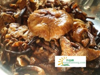 吃榛蘑注意不要同这3种食物一起吃,第2图