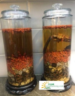 冬虫夏草可以和鹿茸一起泡酒吗？,第2图