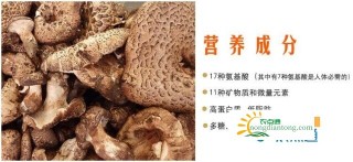 虎掌菌孩子可以吃吗，虎掌菌的禁忌,第4图