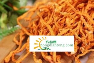 虫草花和蛹虫草（北虫草）、冬虫夏草的区别,第3图