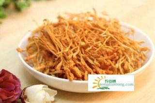 虫草花可以煮粥喝吗,第1图