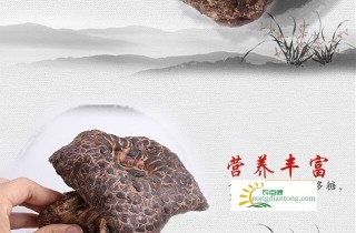 虎掌菌可以生吃吗？虎掌菌的吃法介绍,第1图