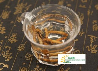 新鲜的冬虫夏草怎样处理？,第1图