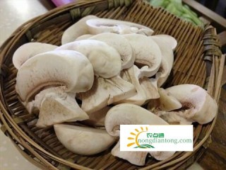 哪些人不能吃口蘑有什么药理作用,第1图