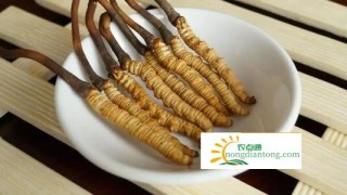 冬虫夏草的食用方法和图片,第2图