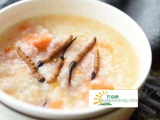 冬虫夏草粥怎么做？冬虫夏草不能与什么搭配食用？,第2图