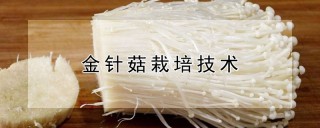 金针菇栽培技术,第1图