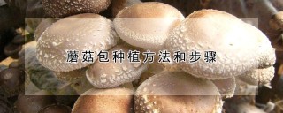 蘑菇包种植方法和步骤,第1图