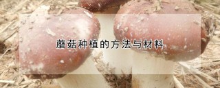 蘑菇种植的方法与材料,第1图