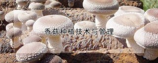 香菇种植技术与管理,第1图