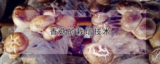 香菇的栽培技术,第1图