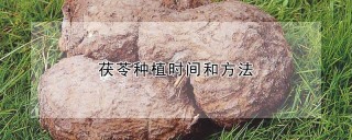 茯苓种植时间和方法,第1图