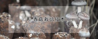 香菇栽培技术,第1图