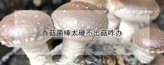 香菇菌棒太硬不出菇咋办,第1图