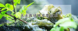 无土栽培地皮菜技术,第1图