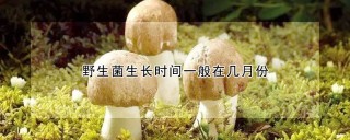 野生菌生长时间一般在几月份,第1图