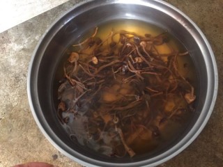  茶树菇炖鸭肉 第7步