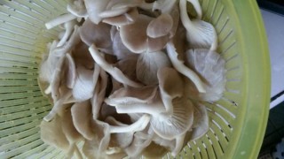 酸菜蘑菇肉片汤 第2步