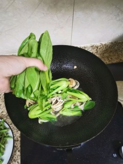  青菜炒蘑菇 第4步