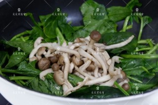  蟹味菇炒菠菜 第5步