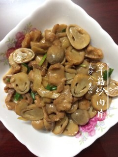  草菇炒肉片 第5步