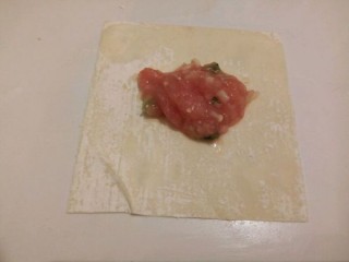  金针菇肉馅馄饨 第3步