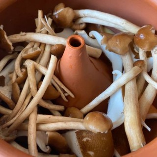  菌菇汽锅鸡～汤鲜味美 第2步